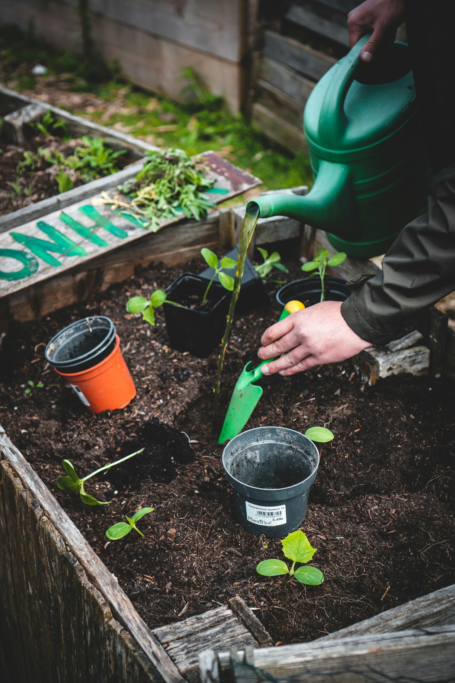 Five Essential Tips For Alabama Gardeners