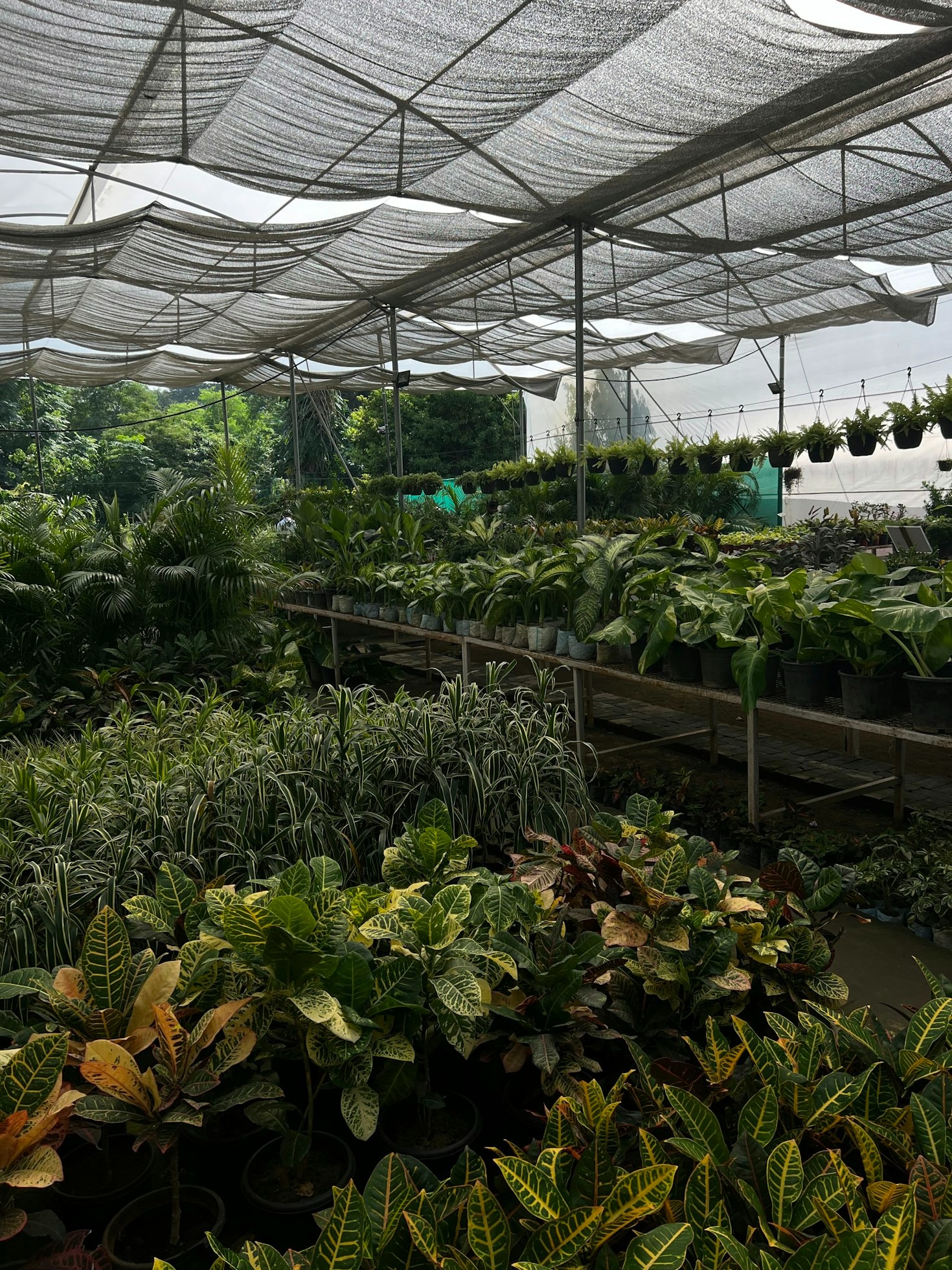 How To Revitalize Your Tired Garden Beds